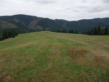 Perusin - smerom na Smrekovicu