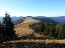 Dvoriská