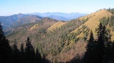 Zapadný cíp Smrekovice od Skalnej Alpy