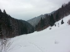 Polana pod Brankovom