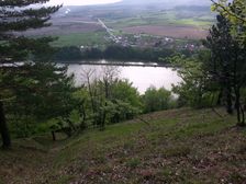Krpelany od Solola