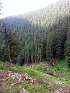 Lavina v Klinoch - 2013