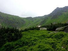 Polana od Krizskej doliny