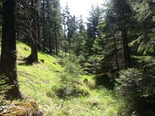 Valentovo pod Kunovom