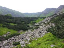 Holy vrch a Polana od Krizskej doliny