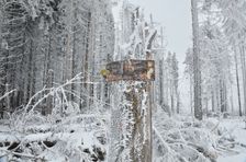 Aka tu bola znacka ?