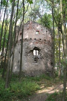 Dobrovodský hrad