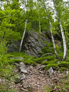 Čučoriedková skala zospodu