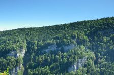 Štrochy, bralá