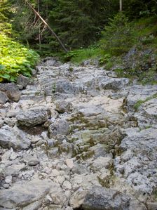 Prosiecka dolina