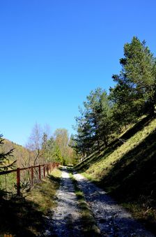 Zvažnica