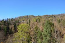 Cesta I. triedy 14
