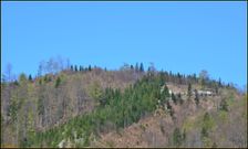 Cesta I. triedy 14, Šturecký had