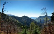 Kosienky 893m & Vápenica 1022m