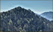 Kosienky 893m & Košiar 944m