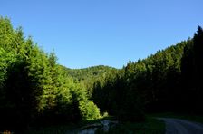 TZT 8648, Dedošová dolina