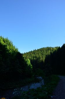 TZT 8648, Dedošová dolina