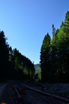 TZT 8648, Dedošová dolina