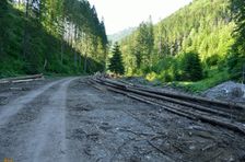 Dedošová dolina, ťažba