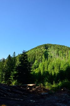 Dedošová dolina, ťažba