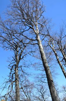 Jar ešte nedorazila