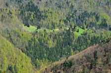 Na rovne, horská lúka