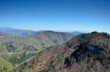 Bystrická dolina & Črchľa 1166m & Japeň 1154m