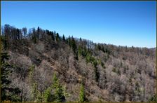 Črchľa 1207m, hrebeň