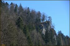 Muráň, bralo