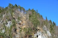 Podšturec, bralá