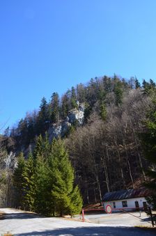 Muráň, bralo