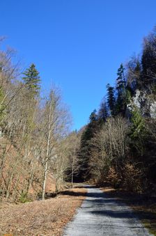 Cesta III. triedy 0597