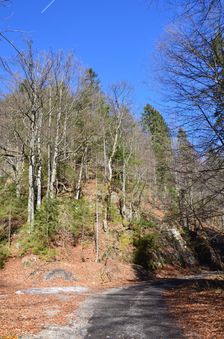 Cesta III. triedy 0597