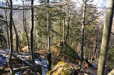 Zostup