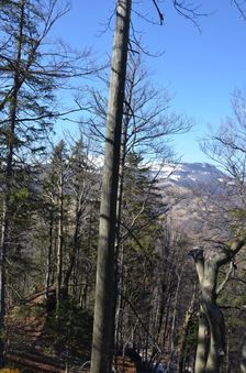 Čierny Kameň 1479m