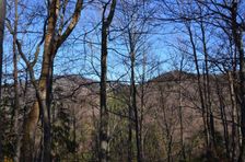 Veľká Fatra