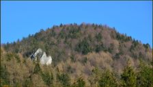 1100m, bralo