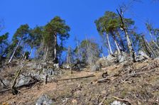 Podšturec, divoký výstup