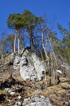Podšturec, divoký výstup