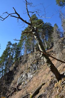 Podšturec, divoký výstup