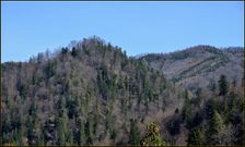 943m & Stará dolina