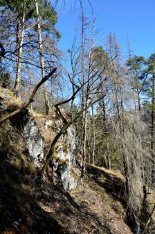 Podšturec, divoký výstup