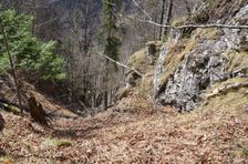 Podšturec, bralá