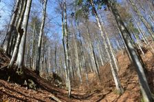 Podšturec, dolina
