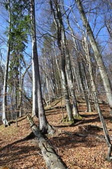 Podšturec, hrebeň