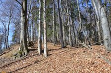 Podšturec, hrebeň