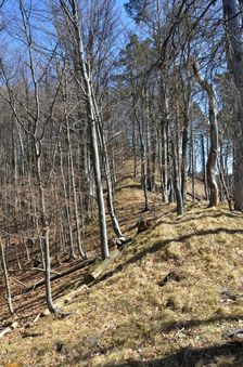 Podšturec, hrebeň