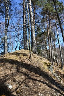 Podšturec, vrchol