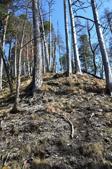 Podšturec, hrebeň