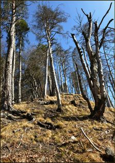 Podšturec, prudký zostup